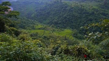 uttarakhands colinas verdes imagen hd, foto