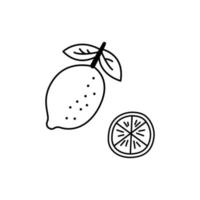 Lemon doodle linear. Cute lime with leaves. Tea party element on a white background. Hand drawn vector illustration.