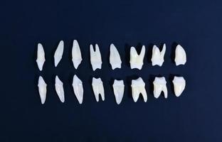 Top view of white teeth on blue background photo