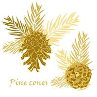 Fir tree branches with pine cone in golden color vector