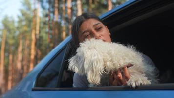 Girl in car holding little cute dog video