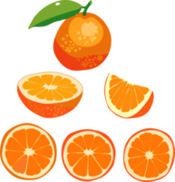 conjunto de frutas laranja png
