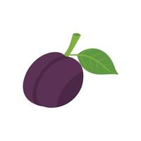 Vector illustration of a purple juicy plum on a white background with a green leaf.