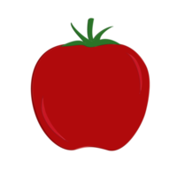 Tomato fruit icon png