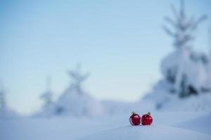 christmas ball in snow photo