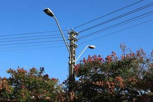 Electrical wires carrying high voltage current. photo