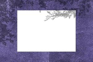 Blank white square poster mockup with light shadow on purple concrete wall background. photo