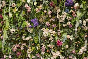 Texture of dried flowers. A wall of roses. Place for photography against the background of cut flower buds. photo