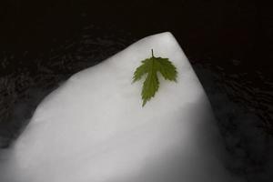 hoja verde sobre un témpano de hielo blanco. hoja y hielo seco. foto