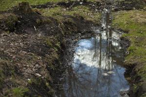 A ravine filled with water. A puddle in nature. photo