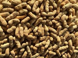 pile of cooked steamed peanuts as seen from above photo