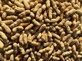 pile of cooked steamed peanuts as seen from above photo