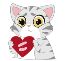 de verdrietig en ongelukkig Amerikaans kort haar kat houdt de gebroken rood hart handelingen net zo verdrietig, van streek en huilen emotioneel. tekening en grappig. png