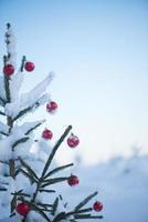 christmas balls on tree photo