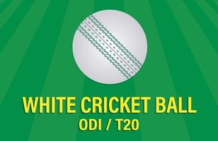 White Cricket Ball on Grass Pattern Background Vector. Odi T20 Leather Ball. vector