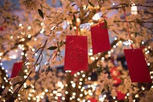 traditional Japanese wishing tree photo