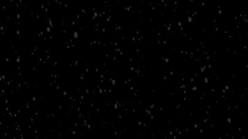 Snow Black Background Stock Video Footage for Free Download