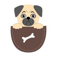 Cute sad pug in a pocket with paws. Vector character in a flat cute style. It is perfect for the design of a fubolka, a poster or for advertising pet supplies