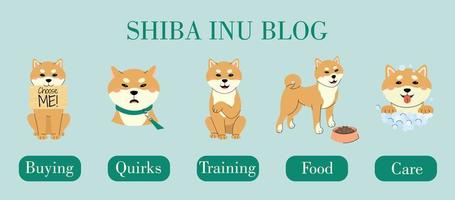 A set with different pose of shiba inu. Shiba inu blog concept. Byuing, quirks, training, food and care chapters. vector