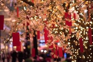 traditional Japanese wishing tree photo