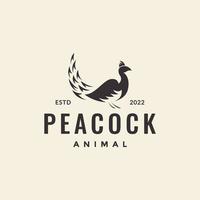 hipster vintage peacock logo design vector