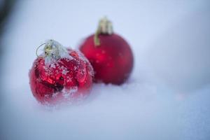 red christmas balls in fresh snow photo