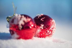 red christmas ball in fresh snow photo