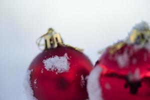 bolas de navidad en pino foto