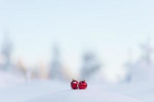 red christmas balls in fresh snow photo