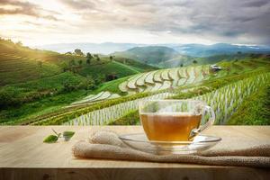 Cup of hot tea with sacking on the wooden table and the rice field s background photo