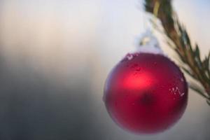 christmas balls on pine tree photo