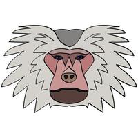 Hamadryas baboon head illustration, flat style logo. Cartoon image vector graphics.