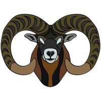 The head of a mountain sheep. Portrait of small cattle. Isolated on a white background. Design element for logo, poster, card, banner, emblem, t-shirt. Vector illustration.