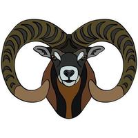 The head of a mountain sheep. Portrait of small cattle. Isolated on a white background. Design element for logo, poster, card, banner, emblem, t-shirt. Vector illustration.