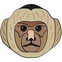 Capuchin head illustration, flat style logo. Cartoon image vector graphics.