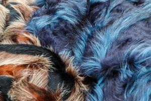 Detailed close up view on samples of cloth and fabrics in different colors found at a fabrics market photo