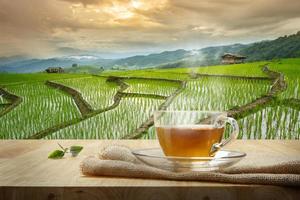 taza de té caliente con saqueo en la mesa de madera y el fondo del campo de arroz foto