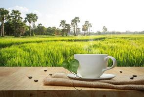 Coffee cup with brown jute on the wooden table and the rice field background photo