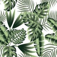 Original tropical seamless pattern with green exotic plants and leaves on light background. monochromatic stylish. Floral background. Exotic tropics. Summer design. vector design. jungle wallpaper