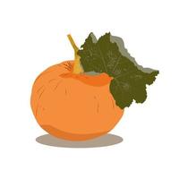 Pumpkin with leaf vector illustration. Autumn orange vegetable. Thanksgiving symbol