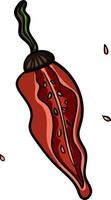 Red chili pepper with seeds vector