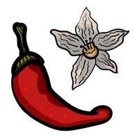 Cartoon chilli pepper vector