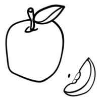 Apple hand drawn fruit vector