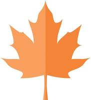 Maple tree leaf in autumn colors. vector