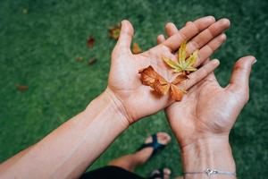 hojas amarillas de otoño en la palma de una niña. foto