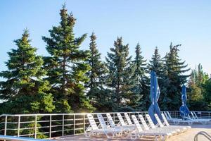 Primorsk, Ukraine. Poolside. Sunbeds near swimming pool surrounded by pine trees photo