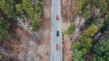 Several cars with kayaks on roof rack driving on the road among trees photo