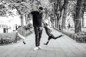 Children having fun with dad in the park photo