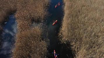 Group of people in kayaks among reeds on the autumn river. photo