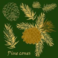 Fir tree branches with pine cone in golden color vector